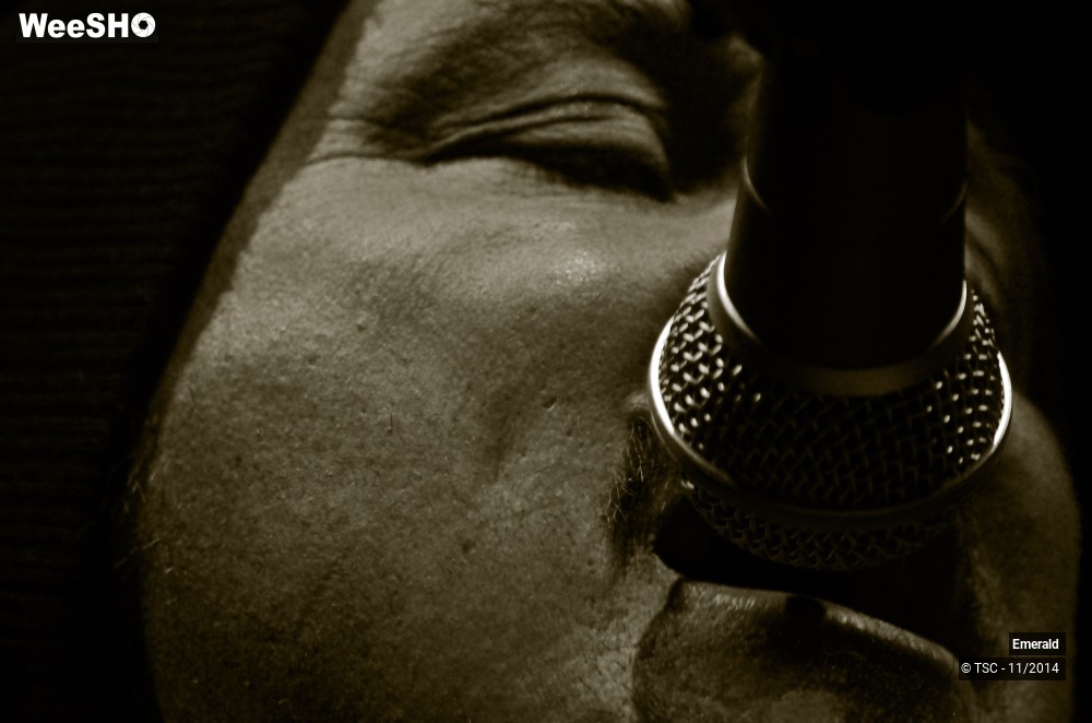 1/29 photos du spectacle Emerald Plays Thin Lizzy 