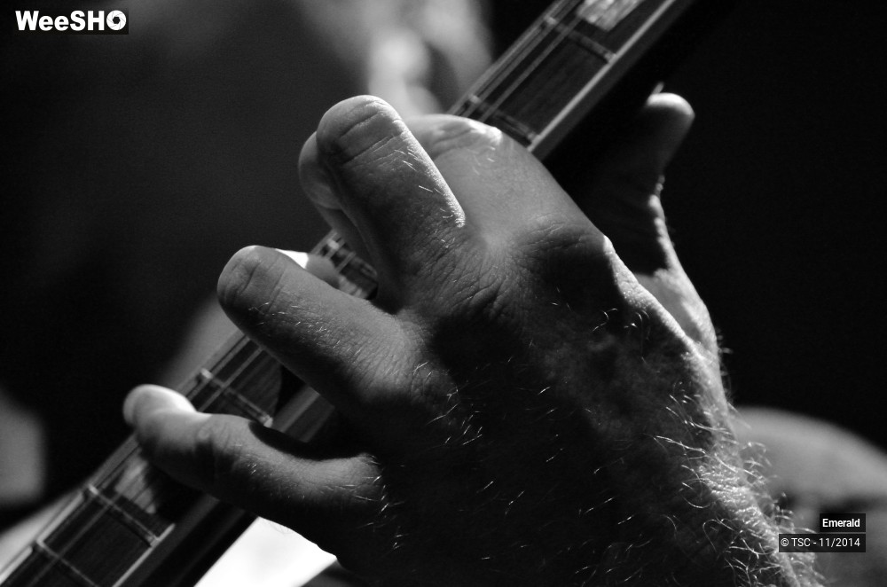8/29 photos du spectacle Emerald Plays Thin Lizzy 