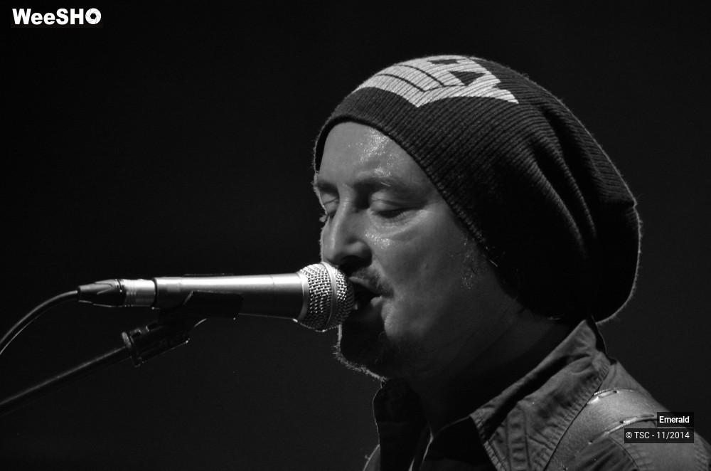 19/29 photos du spectacle Emerald Plays Thin Lizzy 