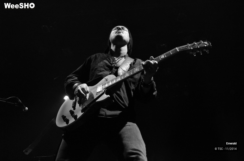 20/29 photos du spectacle Emerald Plays Thin Lizzy 