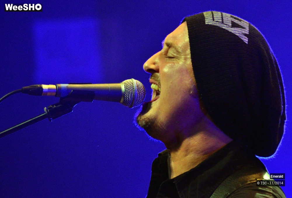 21/29 photos du spectacle Emerald Plays Thin Lizzy 