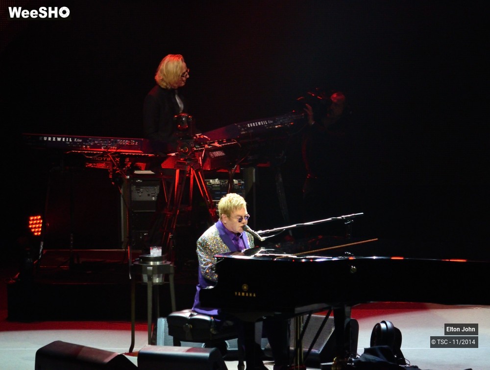 3/20 photos du spectacle Elton John
