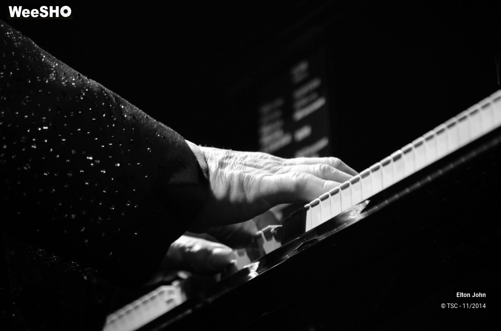 5/20 photos du spectacle Elton John
