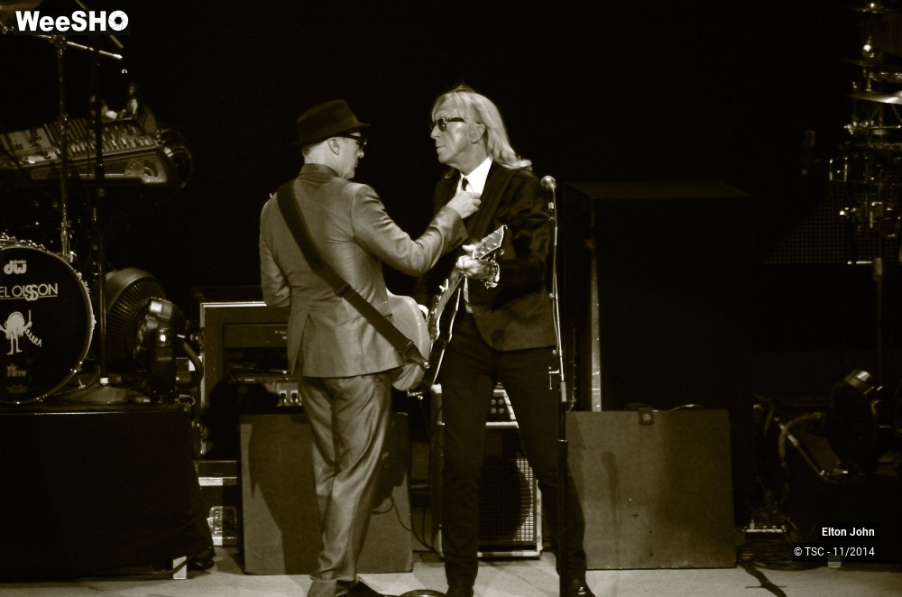 7/20 photos du spectacle Elton John