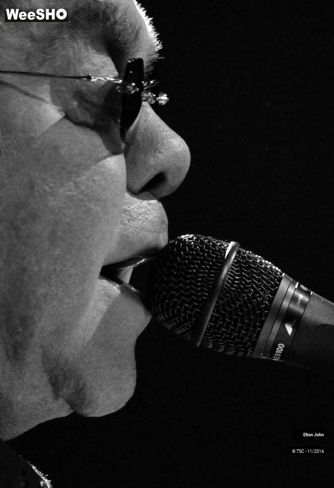 9/20 photos du spectacle Elton John