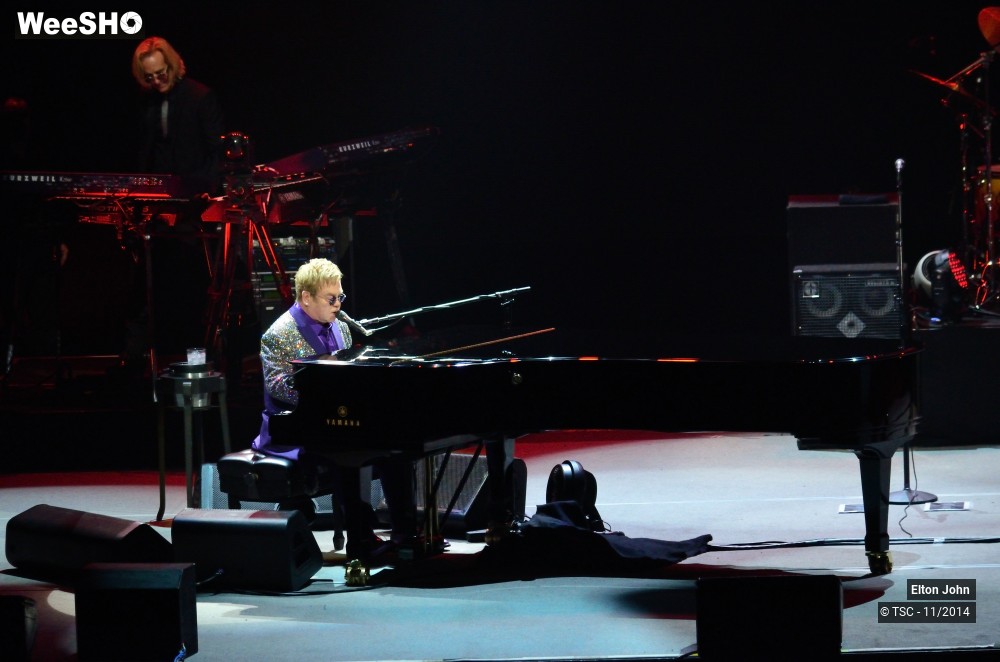 15/20 photos du spectacle Elton John