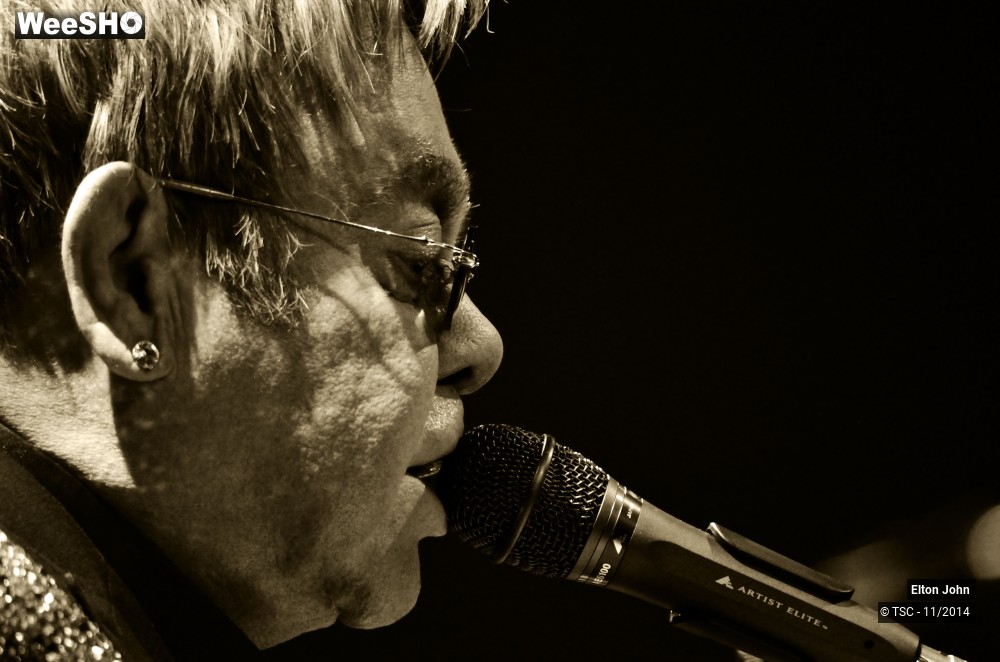 17/20 photos du spectacle Elton John