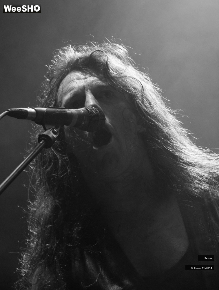 28/49 photos du spectacle Saxon