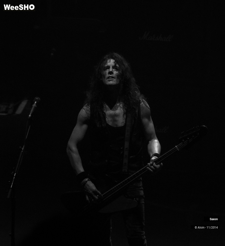 30/49 photos du spectacle Saxon