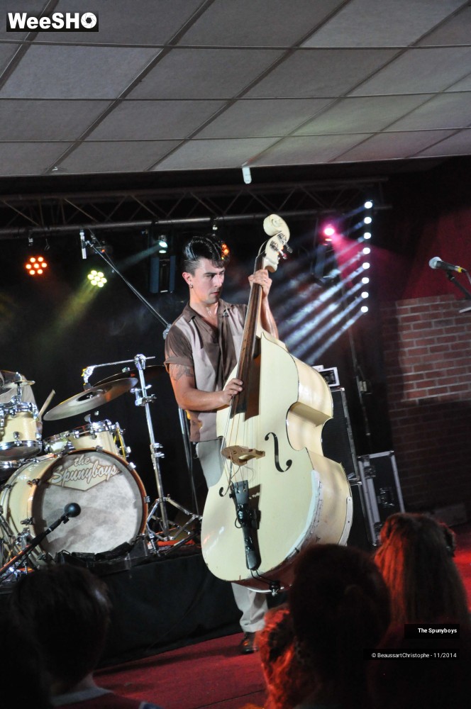 14/45 photos du spectacle The Spunyboys