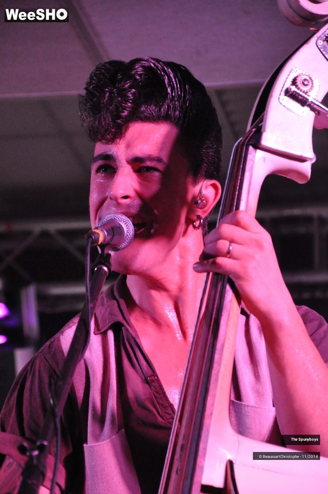 15/45 photos du spectacle The Spunyboys