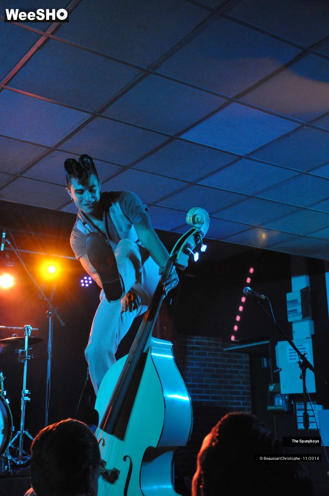 16/45 photos du spectacle The Spunyboys