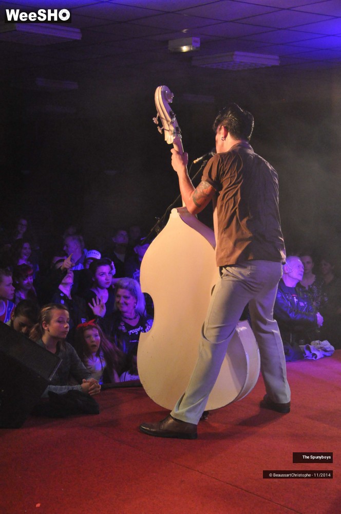 21/45 photos du spectacle The Spunyboys