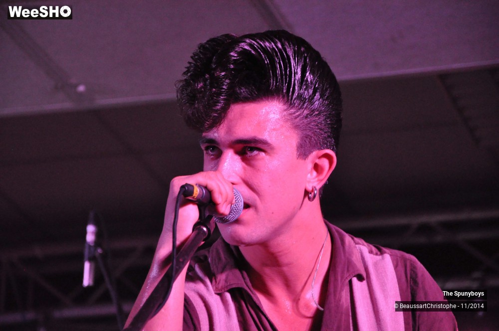 29/45 photos du spectacle The Spunyboys