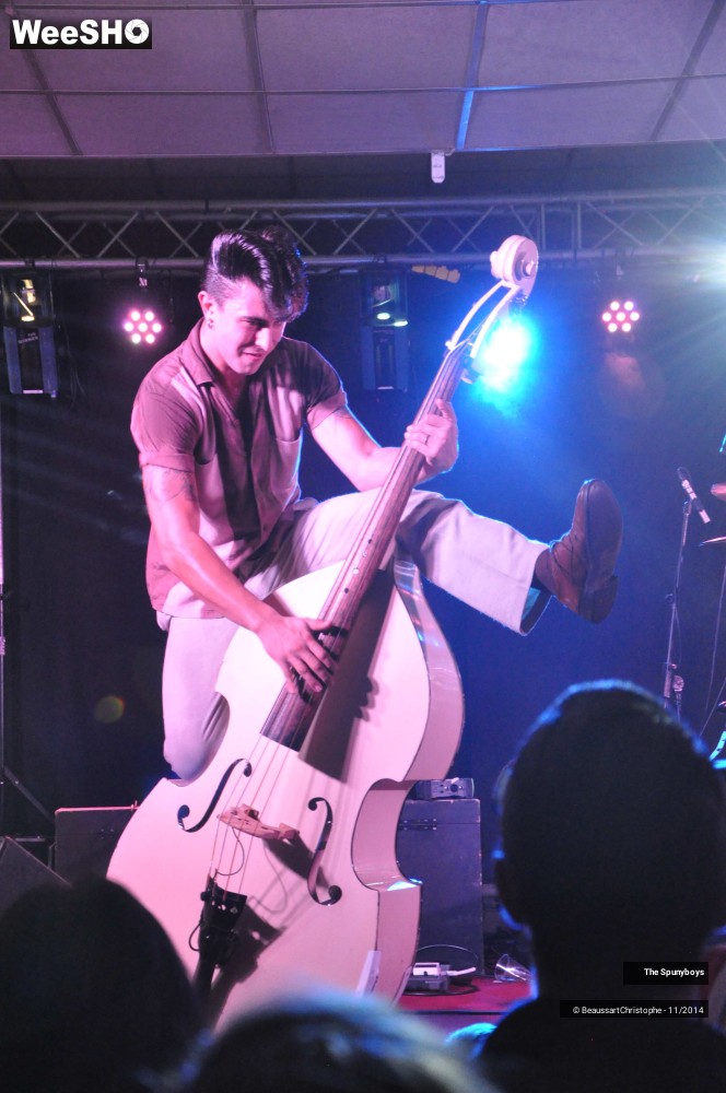 40/45 photos du spectacle The Spunyboys