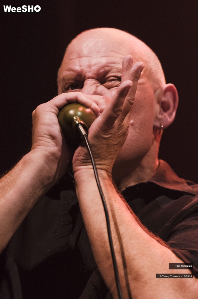 10/44 photos du spectacle Tom Principato