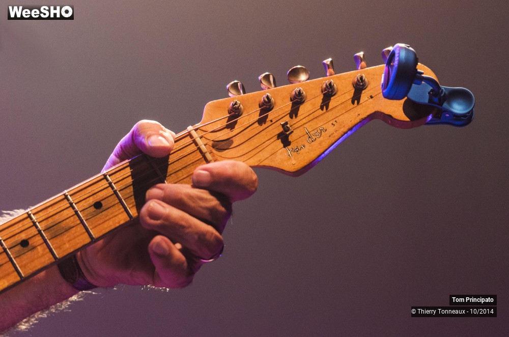 19/44 photos du spectacle Tom Principato