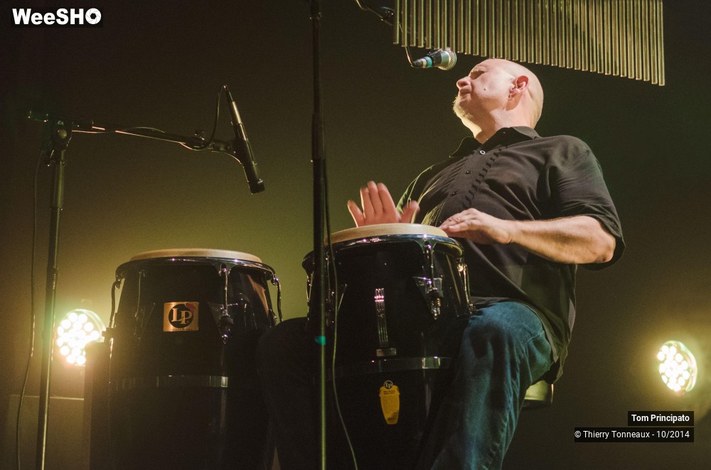 22/44 photos du spectacle Tom Principato