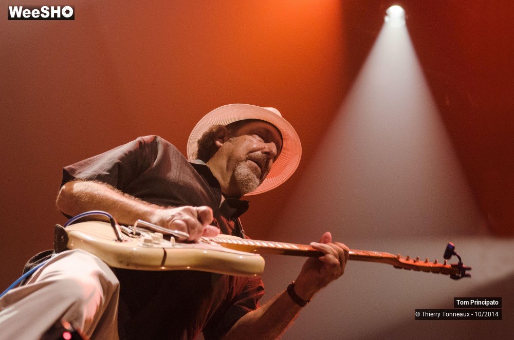 33/44 photos du spectacle Tom Principato
