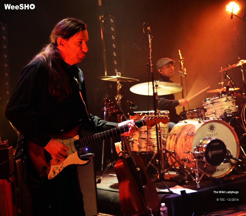 14/26 photos du spectacle The wild ladybugs