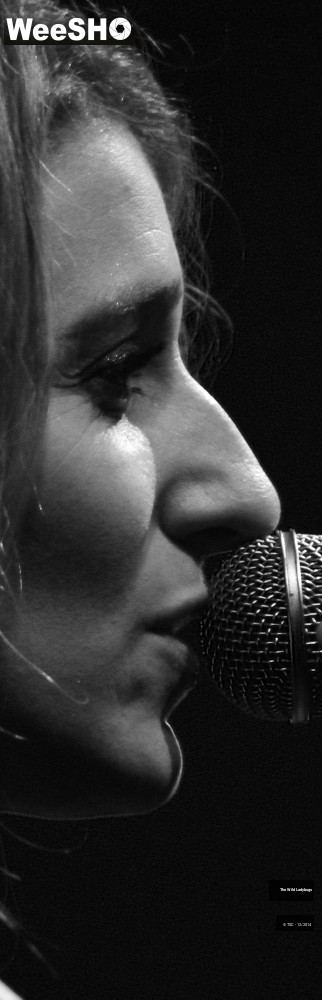 17/26 photos du spectacle The wild ladybugs