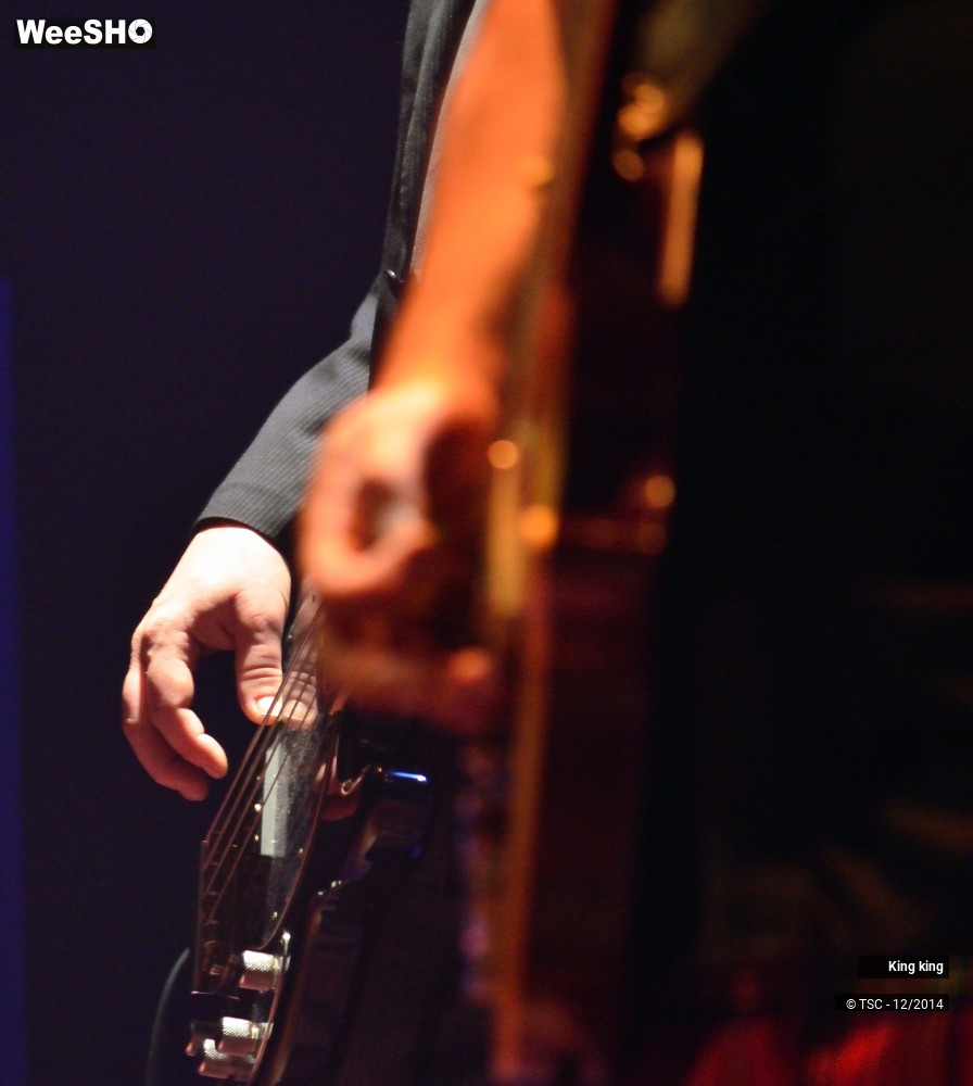 27/39 photos du spectacle King king
