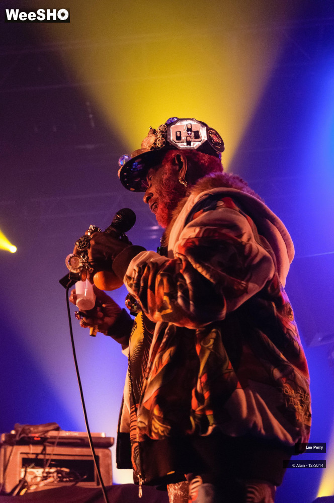 17/32 photos du spectacle Lee Scratch Perry & Friends