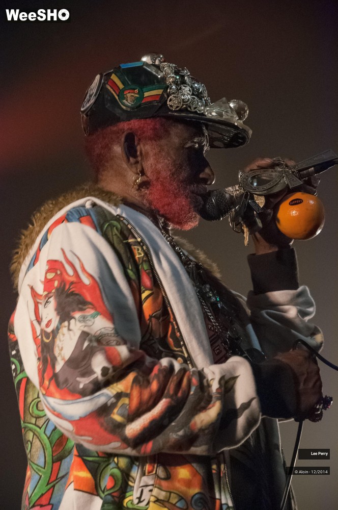 32/32 photos du spectacle Lee Scratch Perry & Friends