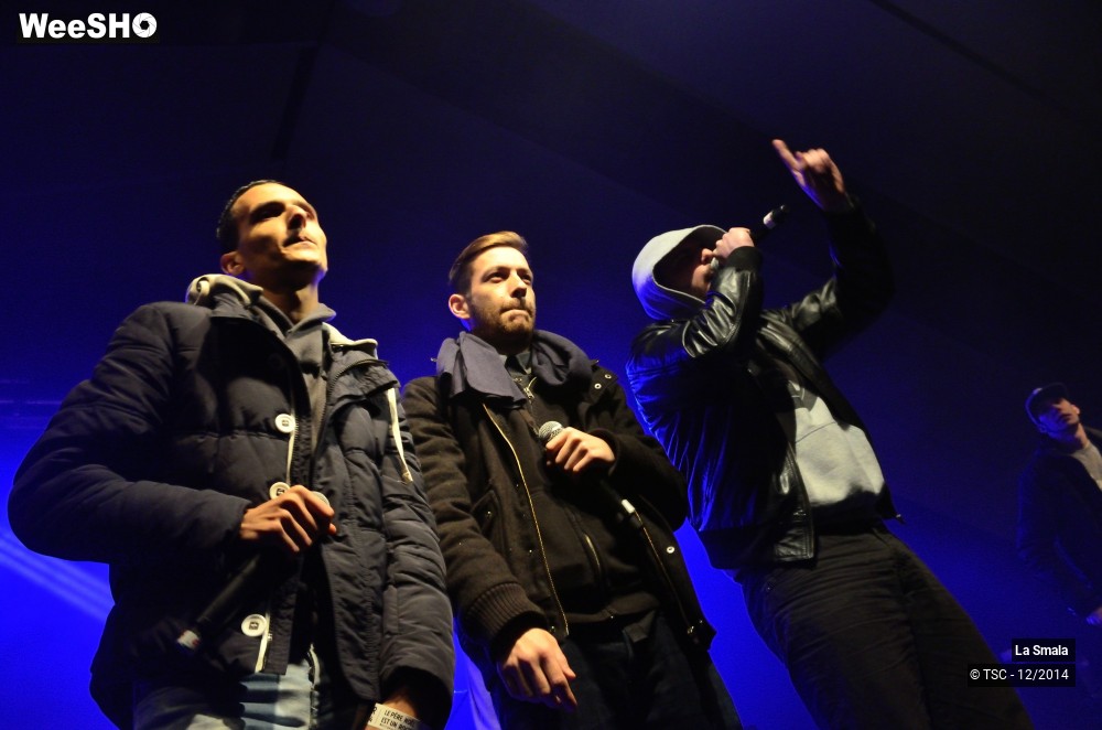 13/28 photos du spectacle La Smala