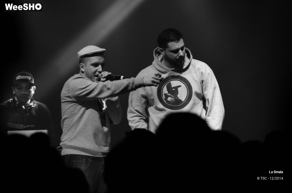 21/28 photos du spectacle La Smala