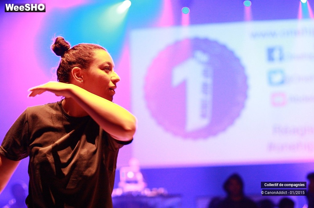 37/50 photos du spectacle OneHipHop Session 3