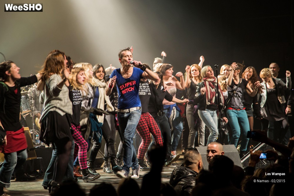 1/41 photos du spectacle Les Wampas