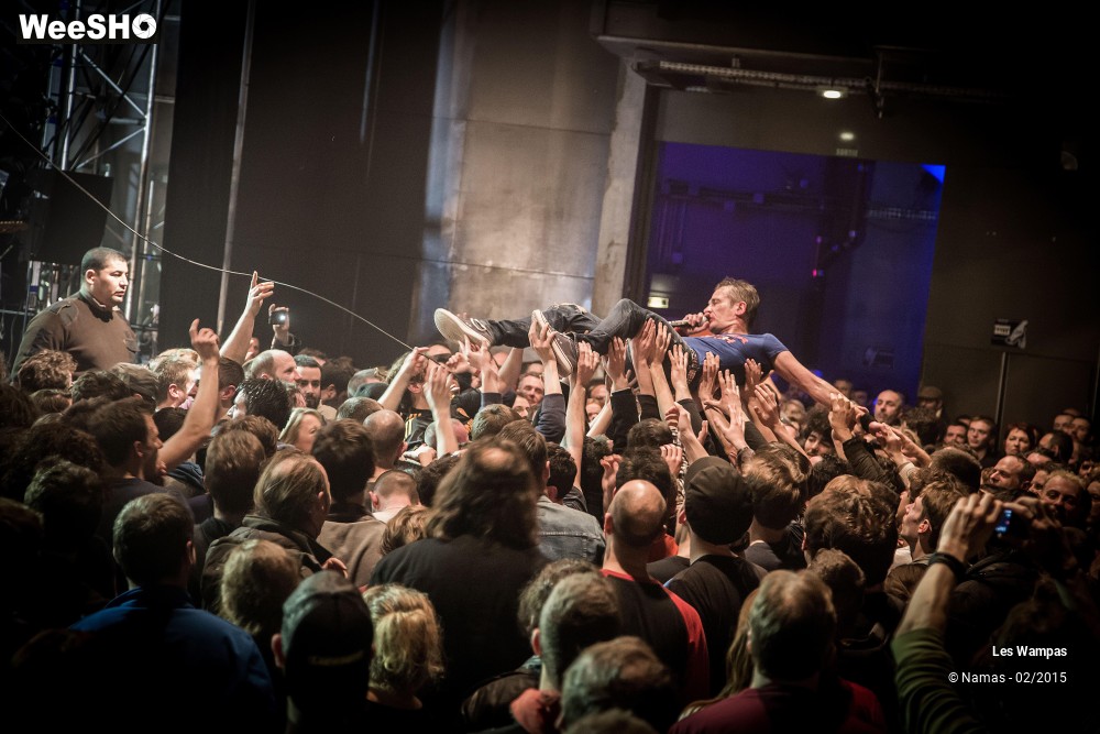 4/41 photos du spectacle Les Wampas