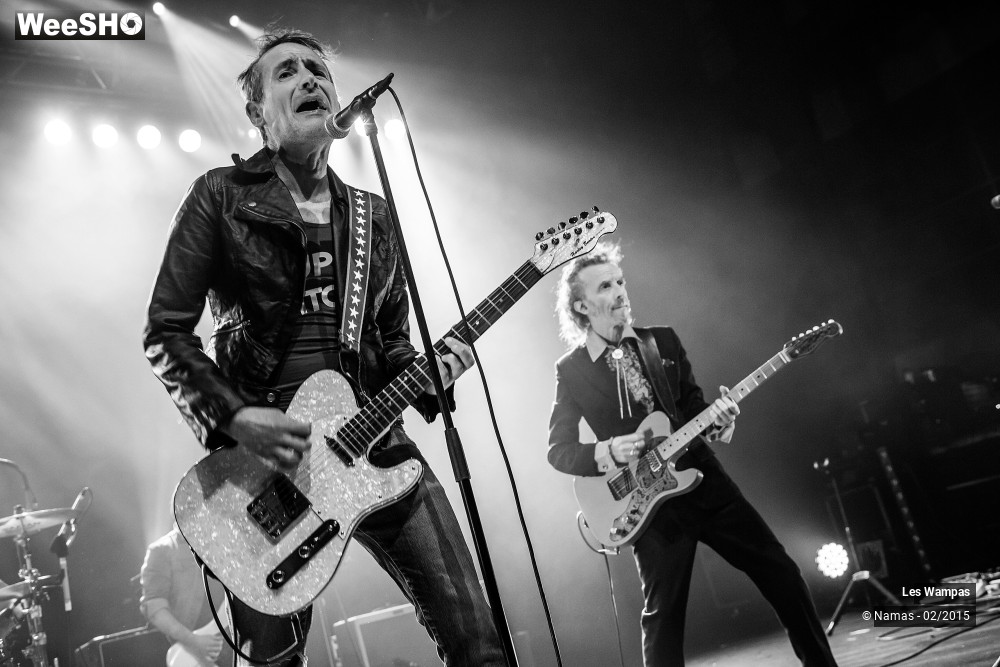 8/41 photos du spectacle Les Wampas