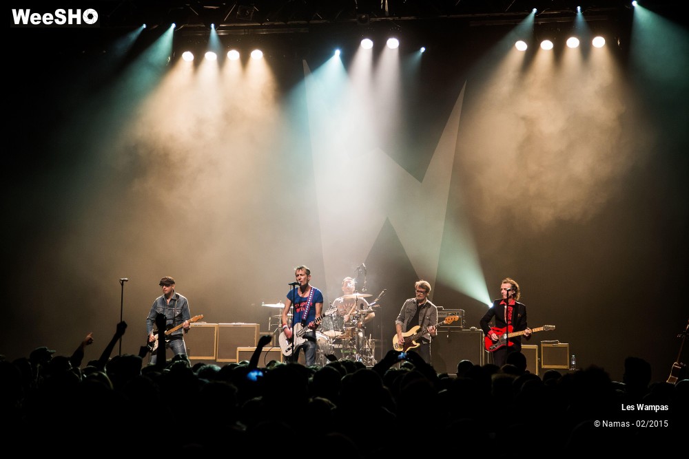 12/41 photos du spectacle Les Wampas