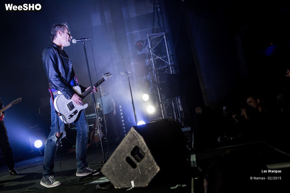 13/41 photos du spectacle Les Wampas