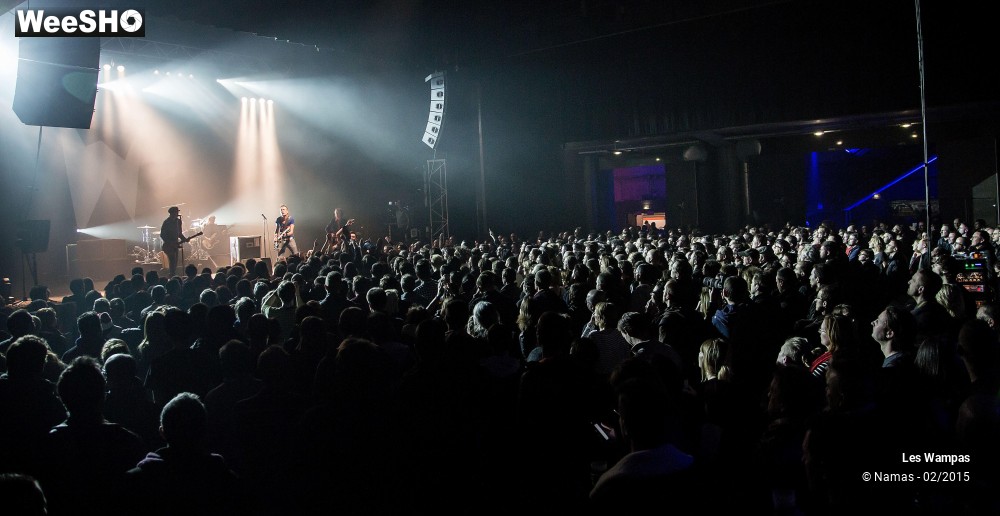 15/41 photos du spectacle Les Wampas