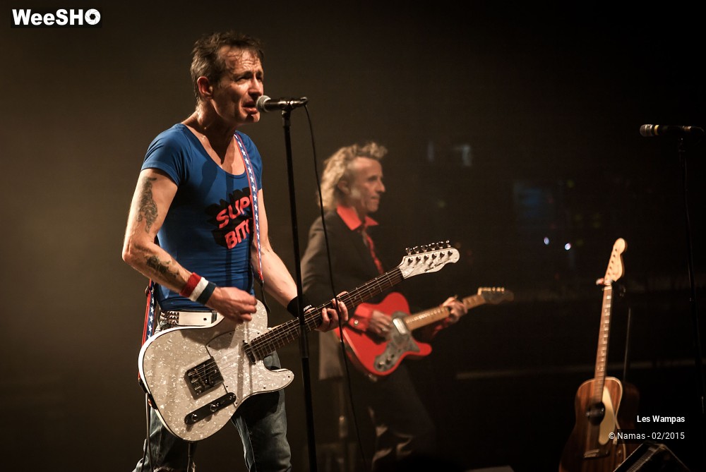 17/41 photos du spectacle Les Wampas