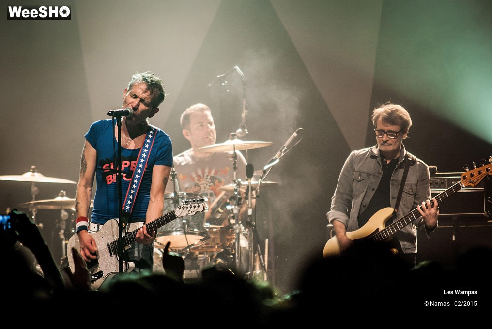 23/41 photos du spectacle Les Wampas