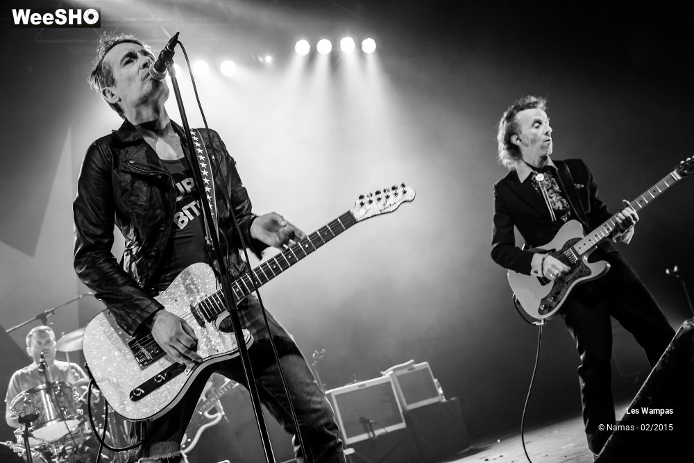 29/41 photos du spectacle Les Wampas