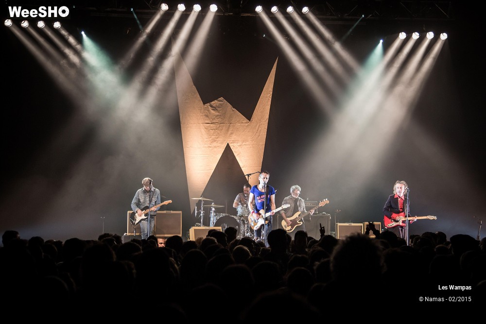 34/41 photos du spectacle Les Wampas