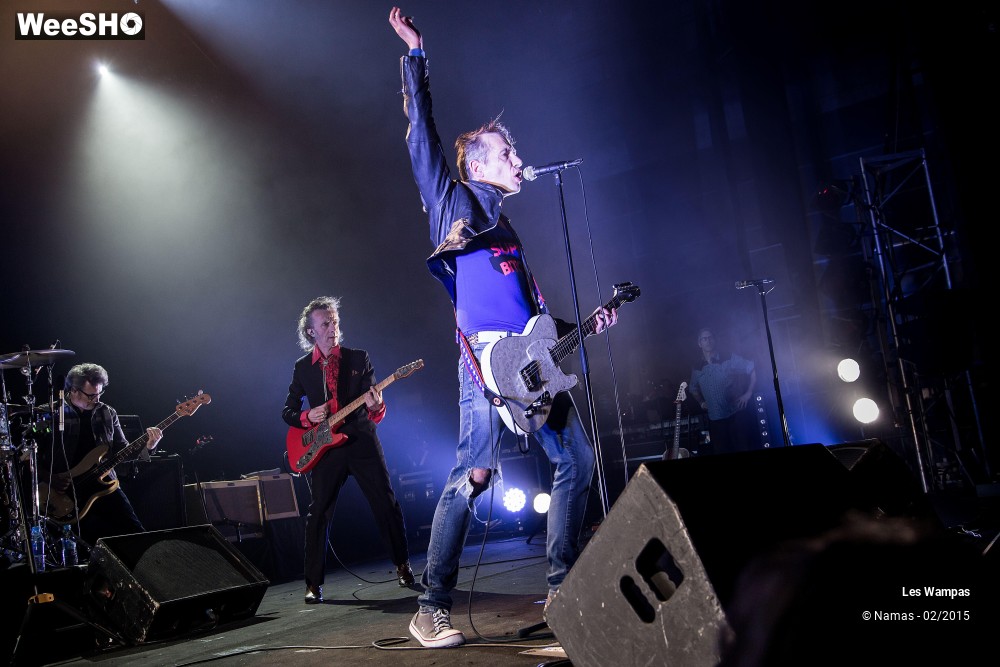 35/41 photos du spectacle Les Wampas