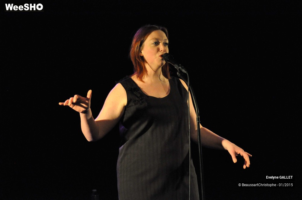 1/48 photos du spectacle Evelyne Gallet 