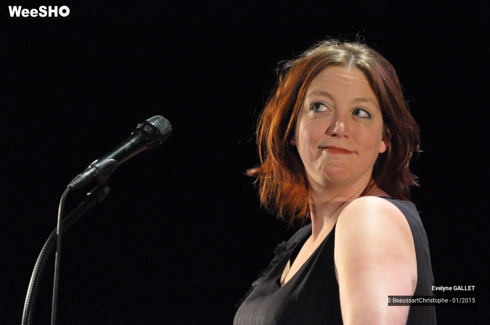 2/48 photos du spectacle Evelyne Gallet 