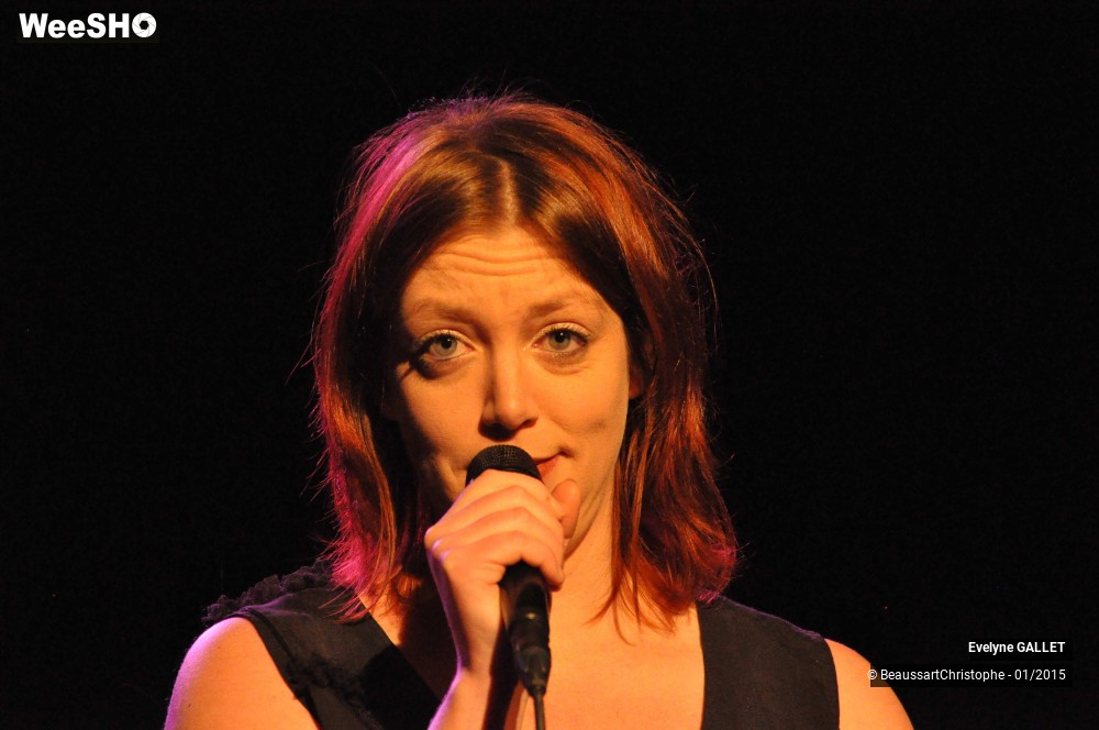 3/48 photos du spectacle Evelyne Gallet 