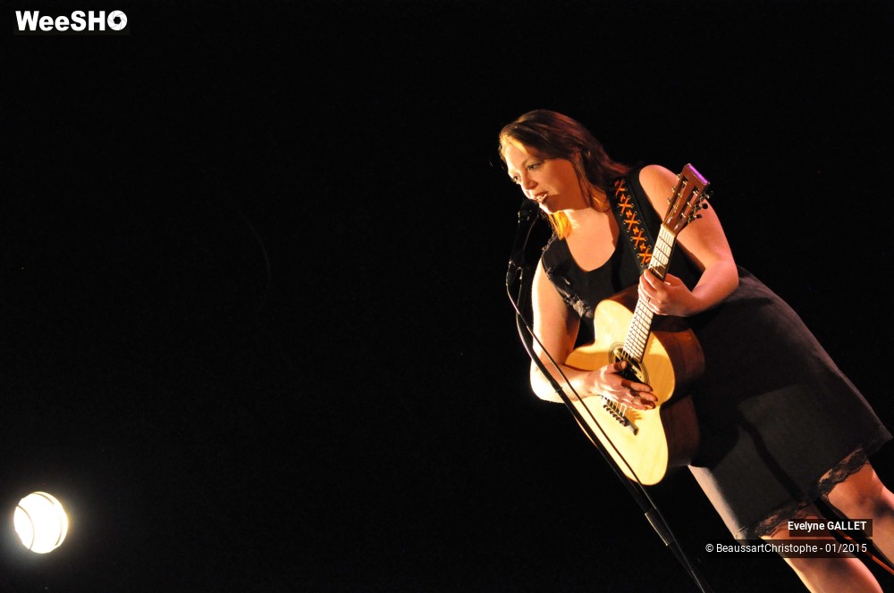 4/48 photos du spectacle Evelyne Gallet 