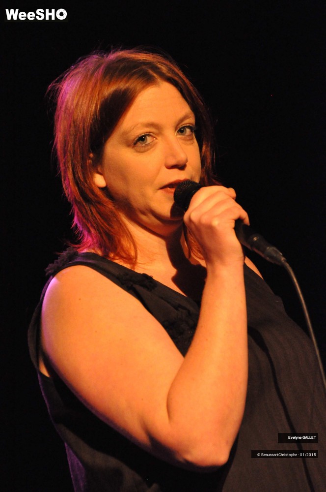 5/48 photos du spectacle Evelyne Gallet 