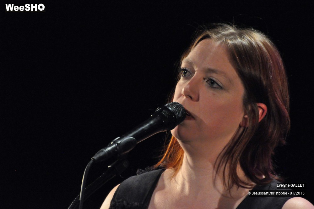 6/48 photos du spectacle Evelyne Gallet 
