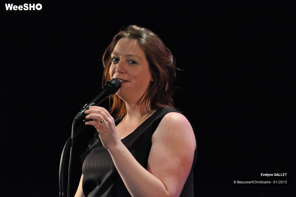 8/48 photos du spectacle Evelyne Gallet 