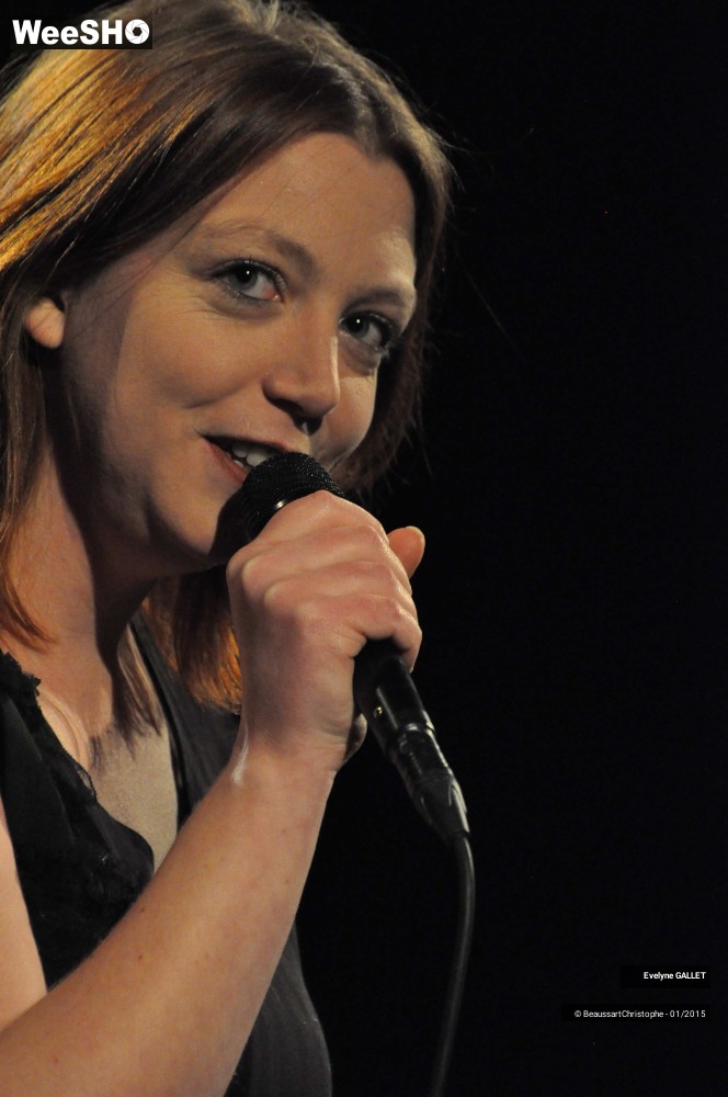 9/48 photos du spectacle Evelyne Gallet 